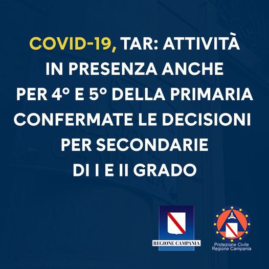 Il TAR Campania boccia la Didattica a Distanza alla primaria