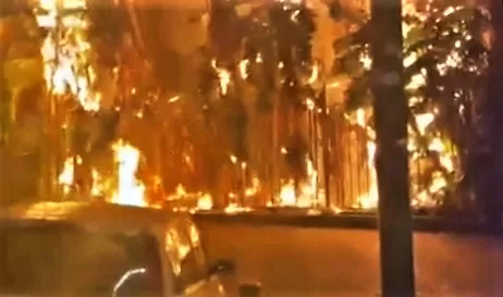 Incendio alla Villa Comunale di Napoli | Il blog di Giò